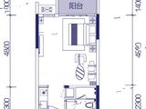 方直东岸_1室1厅1卫 建面43平米