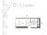 保利天汇_公寓C-1户型 建面25平米